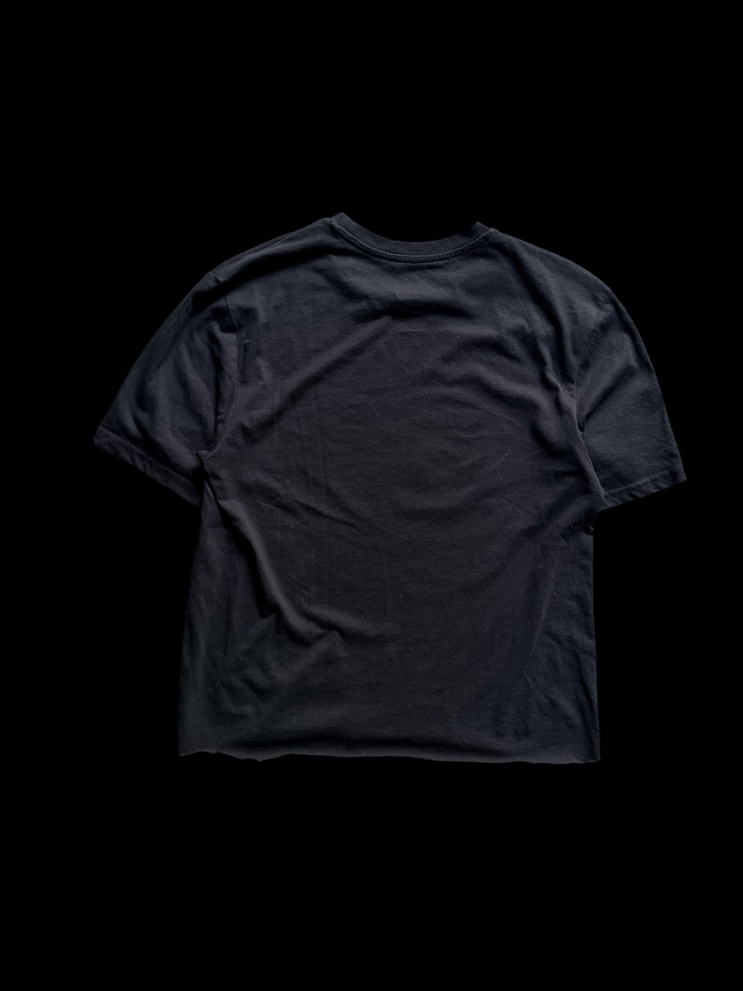 17' Jurassic World Graphic Tee